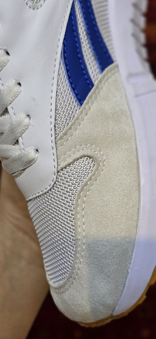 ریبوک سفید(۸۹۳)