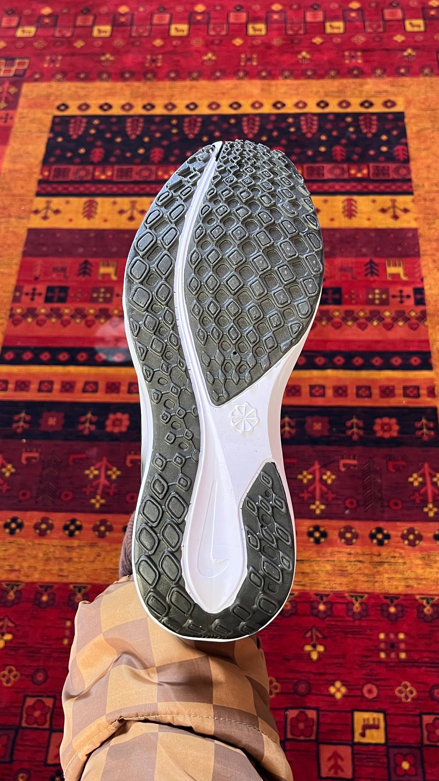 زومXدودی(۱۹۰۱)