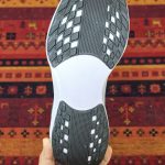 پگاسوس پلاس دودی