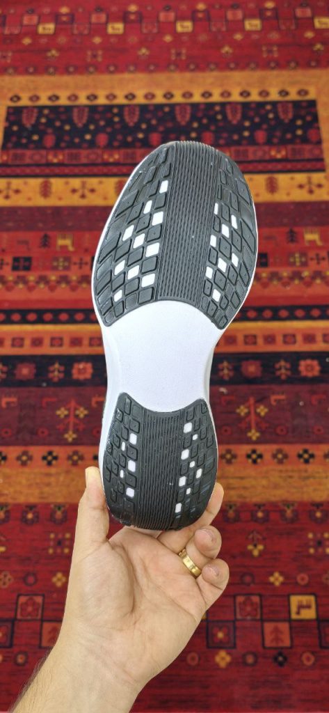پگاسوس پلاس دودی