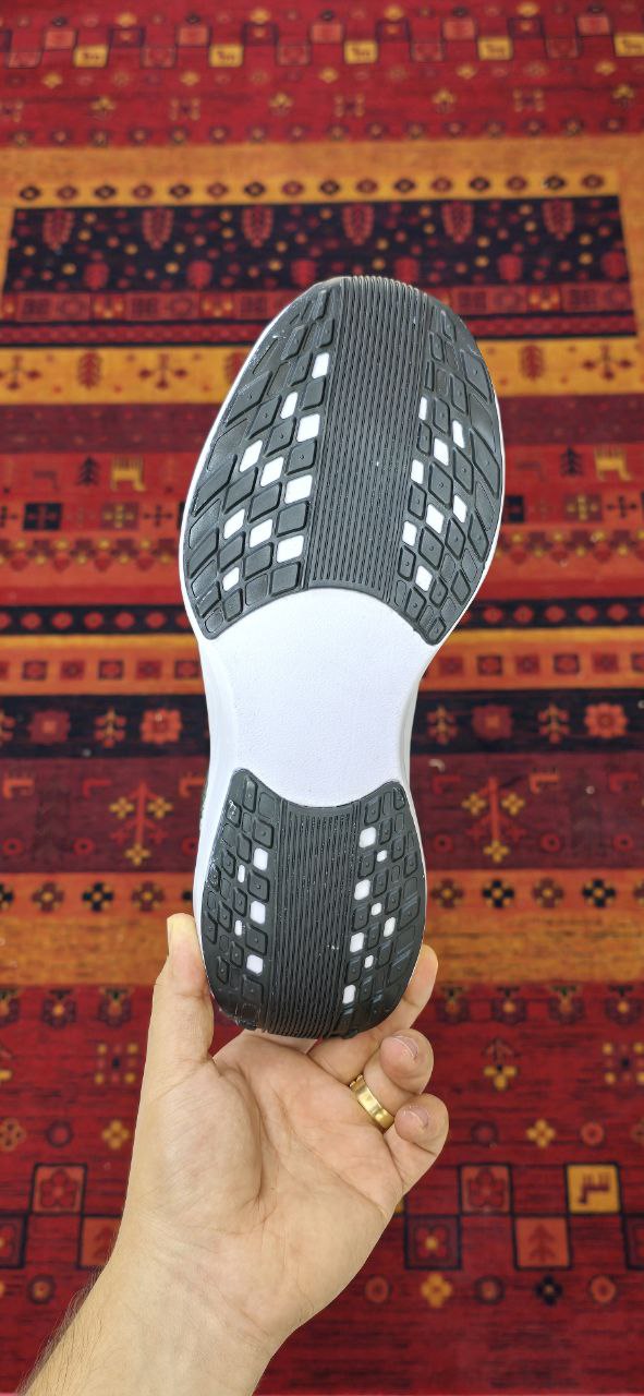 پگاسوس پلاس دودی
