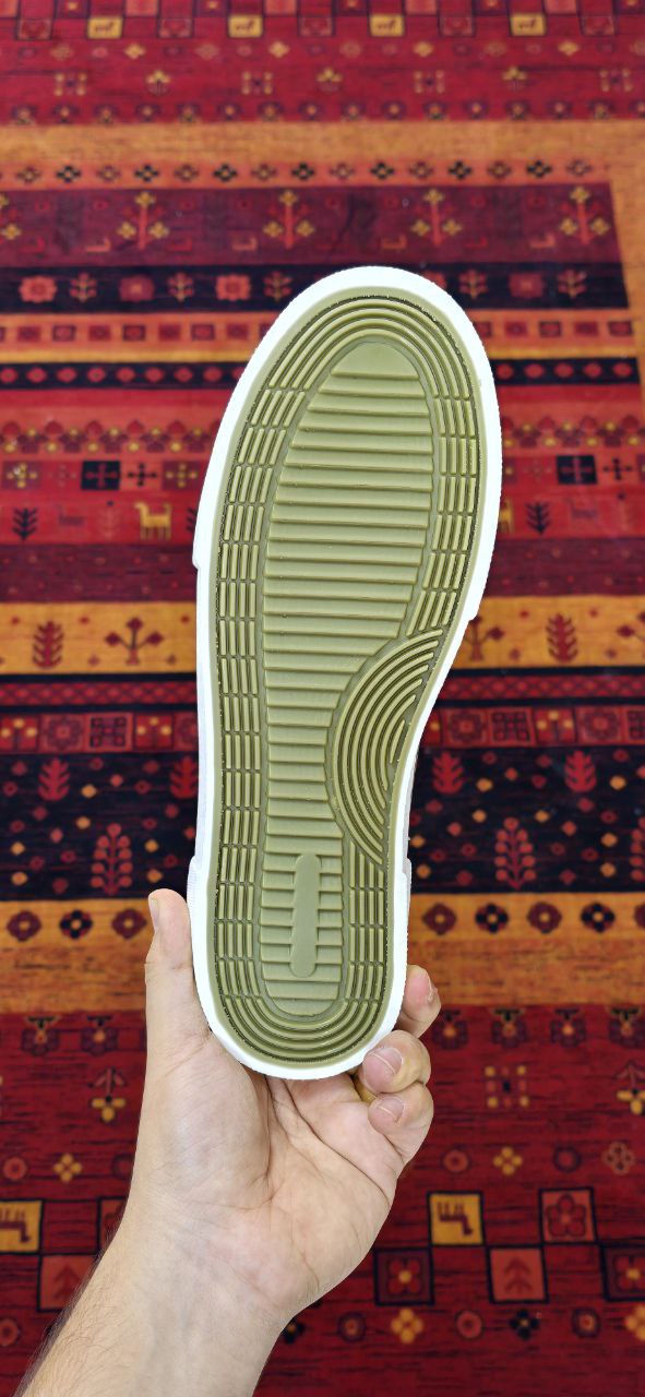 ونس  زیتونی