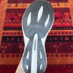 ایکس تیریپ طوسی